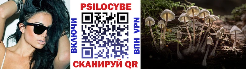Галлюциногенные грибы Psilocybe  даркнет официальный сайт  Алдан 